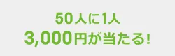 2024年末キャンペーン 50人に1人3,000円が当たる！